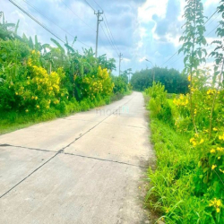 Đất trồng cây mặt tiền đường bê tông 6m quy hoạch đất ở