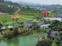 Bán Đất An Bình Phường 3 Đà Lạt diện tích lớn giá tốt ngay trung tâm