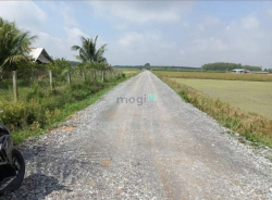 Cần bán gấp lô đất Hiệp Thạnh, Gò Dầu, Tây Ninh giá 357tr thổ cư 165m2