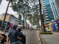 RẺ 120tr! Cho thuê MT Nguyễn Thị Minh Khai Q1 - 5x20m - 7 Tầng TM