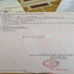 BÁN ĐẤT  ĐẸP TUYẾN ĐƯỜNG HOA HIỆP TÂN tại xã Hiệp Tân , Hoà Thành TN