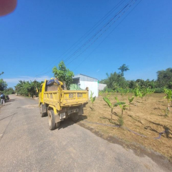 Bán đất 249m2 (cây lâu năm) 1.5 tỷ lộ 12m, Nguyễn Văn Quy, Phú Thứ, CT