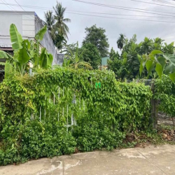 BÁN ĐẤT  ĐẸP TUYẾN ĐƯỜNG HOA HIỆP TÂN tại xã Hiệp Tân , Hoà Thành TN