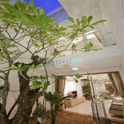 Cho thuê nhà Mặt tiền Hoa Lan - Hầm chứa xe rộng rãi