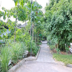Bán đất biệt thự sân vườn 5000m2 giá chỉ 9 triệu/m2 tại Long Phước Q9