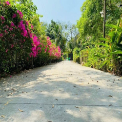 Bán đất biệt thự sân vườn 5000m2 giá chỉ 9 triệu/m2 tại Long Phước Q9