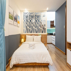 1PN Quận 1 Cao cấp ngay trung tâm