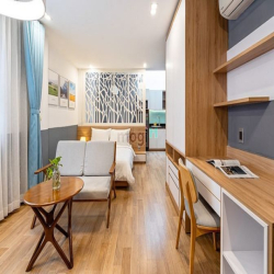 1PN Quận 1 Cao cấp ngay trung tâm