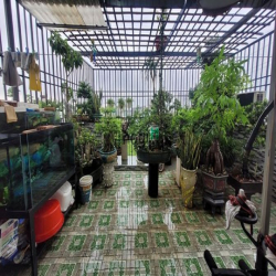 Bán nhà trệt 3 lầu đường Đỗ Xuân Hợp , Phước Long B , Quận 9
