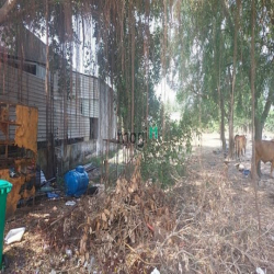 ĐẤT 12X25M=3.1 tỷTL đường xe tải Gần chợ XUÂN THỚI THƯỢNG,PHAN VĂN HỚN