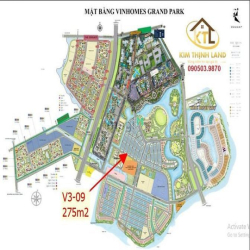 Cho thuê Biệt thự đối diện Vinschools diện tích đất 275m2 giá 40tr/th