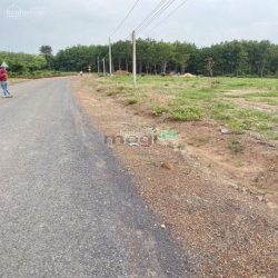 Ko còn lô thứ 2 đất TRUÔNG MÍT - DMC giá chỉ còn 269tr duy nhất