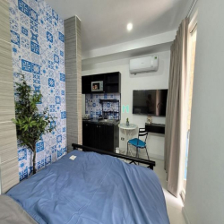 Duplex Q7 phong cách HI Lạp full nt giá siêu ưu đãi