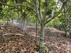 Bán lô đất full hồng có sẵn 100m thổ cư gần Hồ Trị An, Định Quán