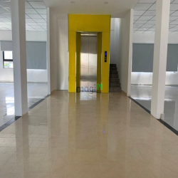 Cho Thuê Sàn 200m2 Lầu 2 Đường Vũ Tông Phan Giá 35 Triệu