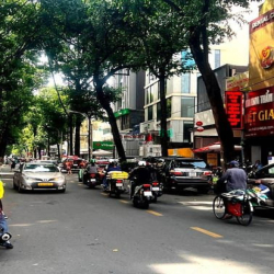 241108150-Bán nhà Phạm Ngọc Thạch P6 Q3, 39m2, HXH, 4tầng 4PN, 15ty TL