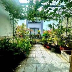 241108150-Bán nhà Phạm Ngọc Thạch P6 Q3, 39m2, HXH, 4tầng 4PN, 15ty TL