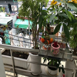 Sở hữu nhà đẹp 1 lầu hẻm thông ba gác Huỳnh Tấn Phát