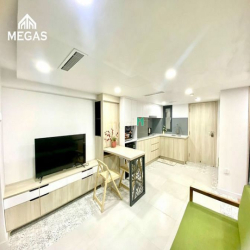 Cho thuê căn hộ 1 Phòng Ngủ Quận 3 Giá Rẻ, An Ninh Cao Mới