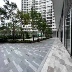 Cho thuê shophouse Midtown M8 tầng trệt giá chỉ 55 tr/tháng.