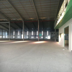 Cho Thuê Kho Xưởng 1.250m2, 2200m2, 3186m2, 5200m2 cụm kho bãi Gò Vấp