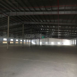 Cho Thuê Kho Xưởng 1.250m2, 2200m2, 3186m2, 5200m2 cụm kho bãi Gò Vấp