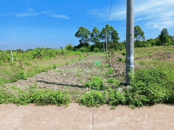 Bán gấp 27000m2 đất Mặt Tiền QL22 Tân An Hội Củ Chi 4tr/m2