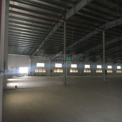 Cho Thuê Kho Xưởng 1.250m2, 2200m2, 3186m2, 5200m2 cụm kho bãi Gò Vấp