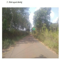 BÁN ĐẤT THỔ VƯỜN: S=480m2, thổ cư=40m2 (1tỷ6 - chính chủ, Bình Phước )