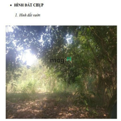 BÁN ĐẤT THỔ VƯỜN: S=480m2, thổ cư=40m2 (1tỷ6 - chính chủ, Bình Phước )