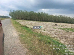 DEAL HỜI Lô 200m2 Chỉ 560 tại Gia Lộc TX Trảng Bàng SHR