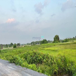 Bán Đất Khu Dân Cư Bình Mỹ Củ Chi Diện Tích 1188M2 Giá 8 Triệu/M2.