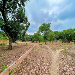 Đất Vườn SHR giá rẻ, vị trí đẹp gần ĐT763 tại Suối Cát, Xuân Lộc