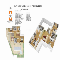 Penthouse Discoverry Complex 302 cầu giấy  sân vườn - bể bơi riêng