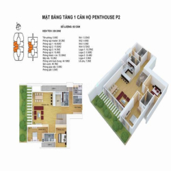 Penthouse Discoverry Complex 302 cầu giấy  sân vườn - bể bơi riêng