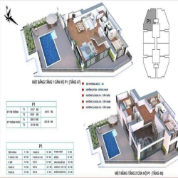 Penthouse Discoverry Complex 302 cầu giấy  sân vườn - bể bơi riêng