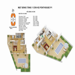 Penthouse Discoverry Complex 302 cầu giấy  sân vườn - bể bơi riêng