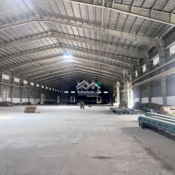 Cho thuê kho siêu mẫu 7000m2 giá rẻ bất ngờ, TT. Phú Hòa, An Giang