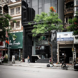 Đẹp nhất xuân la! bán nhà mặt phố 310m, mt 10m, giá 110 tỷ