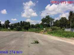 Cho thuê gấp Đất ở  Đường 11 , P.An Phú , Q2