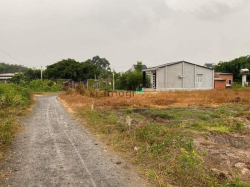 Bán đất diện tích ngang 4,60 dài 49 có 80 thổ cư còn lại cây lâu năm