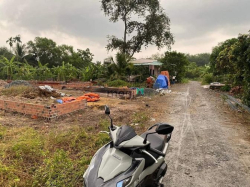 Bán đất diện tích ngang 4,60 dài 49 có 80 thổ cư còn lại cây lâu năm