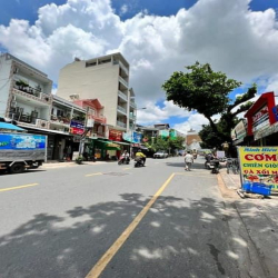 Bán nhà MTKD Tân Hương - Tân Quý - Tân Phú 8x20m