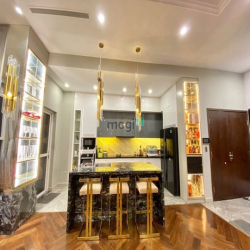 PENHOUSE Sunrise City- Novaland quận 7. Tổng DTSD 282m2, Bán 16.4 tỷ