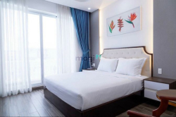 Bán cặp khách sạn Hưng Gia, Phú Mỹ Hưng, Quận 7