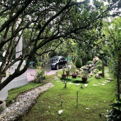 14,4 X 45 54,5 = 4,9 tỷ An Phú Củ Chi TPHCM - BÁN GẤP