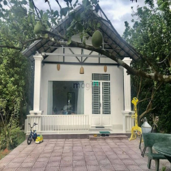 14,4 X 45 54,5 = 4,9 tỷ An Phú Củ Chi TPHCM - BÁN GẤP