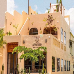 Hàng Kín ! Cho thuê nhà Mặt Tiền Mạc Thị Bưởi -Ngang4m -Giá chỉ 65TR