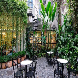 Hàng Kín ! Cho thuê nhà Mặt Tiền Mạc Thị Bưởi -Ngang4m -Giá chỉ 65TR