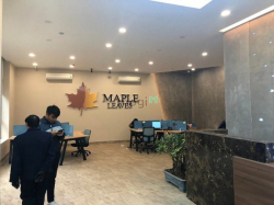 Cho thuê văn phòng diện tích 50m2 tại số 2 Mai Anh Tuấn, Đống Đa, HN